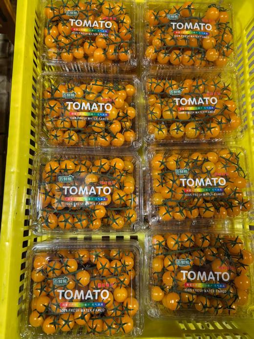 串番茄（国外品种）三个颜色各一斤 商品图0