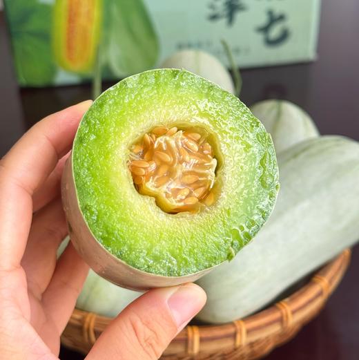 🌳养到自然熟的 · 博洋 · 酥7 · 蜜瓜 · 又脆又甜  · 瓜香浓郁 ·  4斤装/6-8根 商品图0