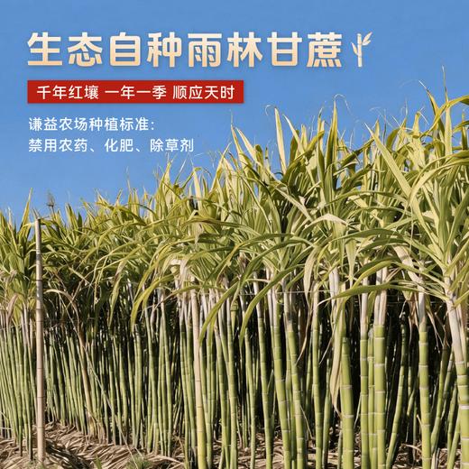 【上新】谦益象遇原汁红糖188g 云南原始森林生态甘蔗 古法工艺熬制 破之如沙 甜味柔和 产妇产后/月子/生理期优选 商品图1