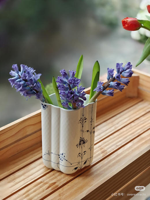 【国产】方德风信子-星梦-蓝紫渐变 5枝 商品图1