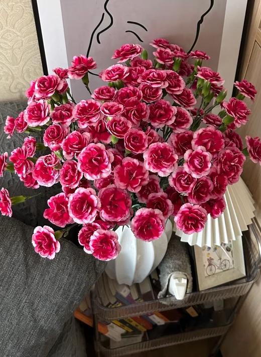 皇太子多头康乃馨20枝 商品图0