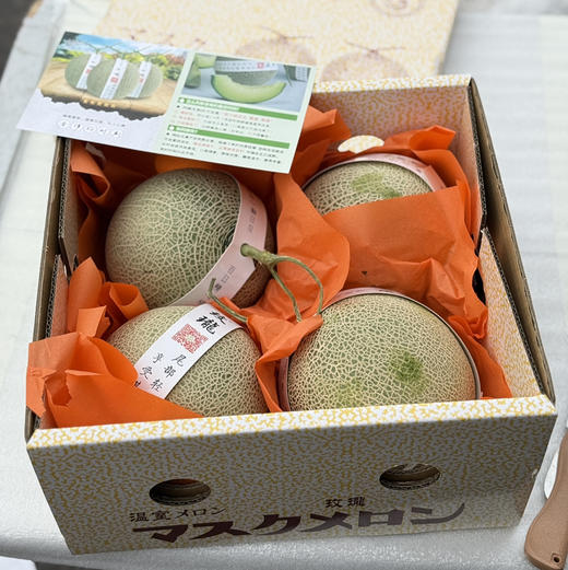 海南网纹玫珑蜜瓜 商品图5