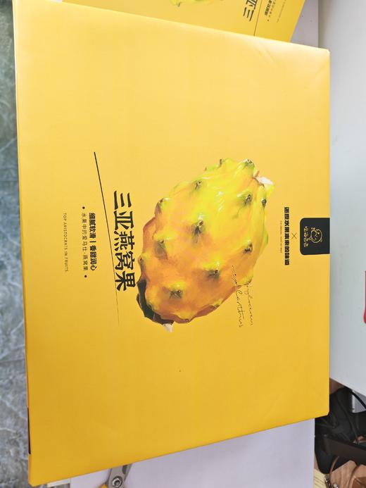 金麒麟燕窝果 商品图2