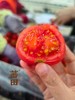 【超莓番茄】果味浓郁，甜味清新自然，吃一口酸甜！脆爽，爆汁儿-CC 商品缩略图0