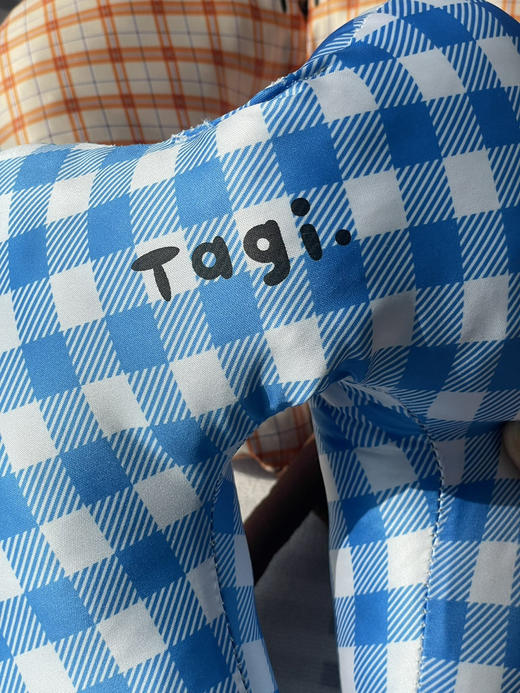 tagi原单u型头枕旅行午休睡枕 商品图5