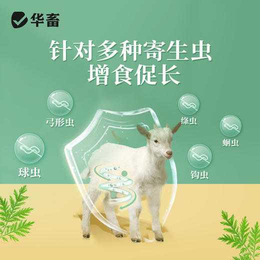 华畜功夫净500g 中药驱虫 球虫绦虫弓形虫等 蛋禽孕畜可用安全有效 商品图2