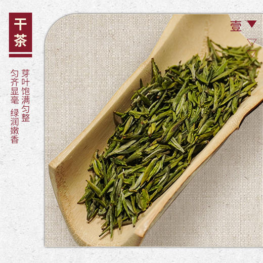 【山纯限品】（2026年绿茶）006毛峰20g 商品图2
