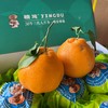 柑橘皇后～精笃大雅柑【净重约7斤】 商品缩略图1