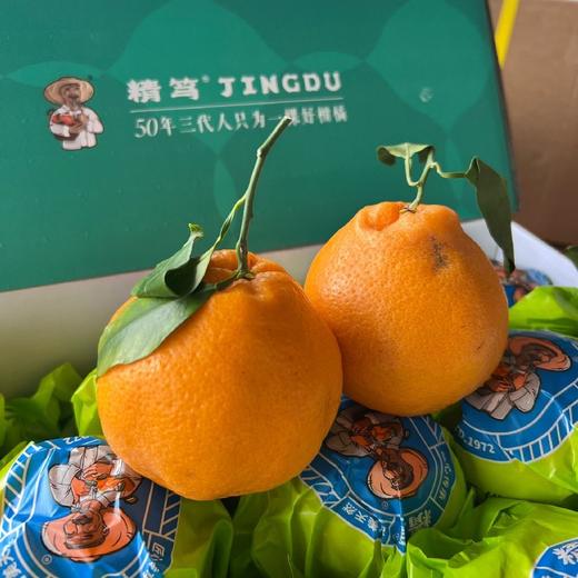 柑橘皇后～精笃大雅柑【净重约7斤】 商品图1