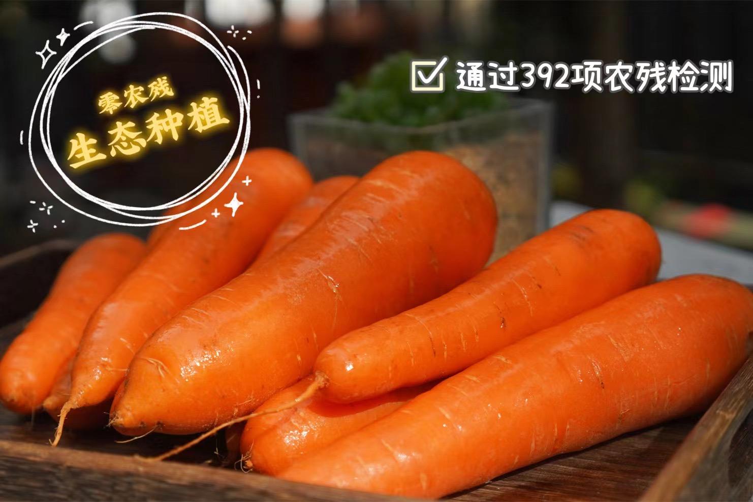 送3斤实发8斤【禧红水果胡萝卜】零农残，脆甜、没有胡萝卜生生的味道， 汁水多到可以直接榨汁！