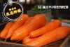 送3斤实发8斤【禧红水果胡萝卜】零农残，脆甜、没有胡萝卜生生的味道， 汁水多到可以直接榨汁！ 商品缩略图0