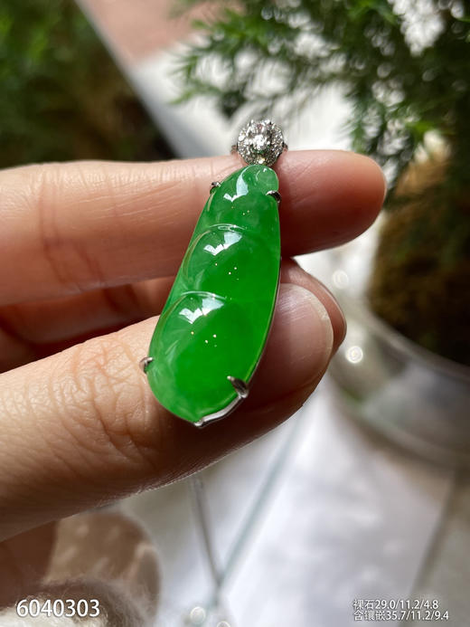 老坑艳绿福豆吊坠【6040303】具体价格微信咨询 商品图3