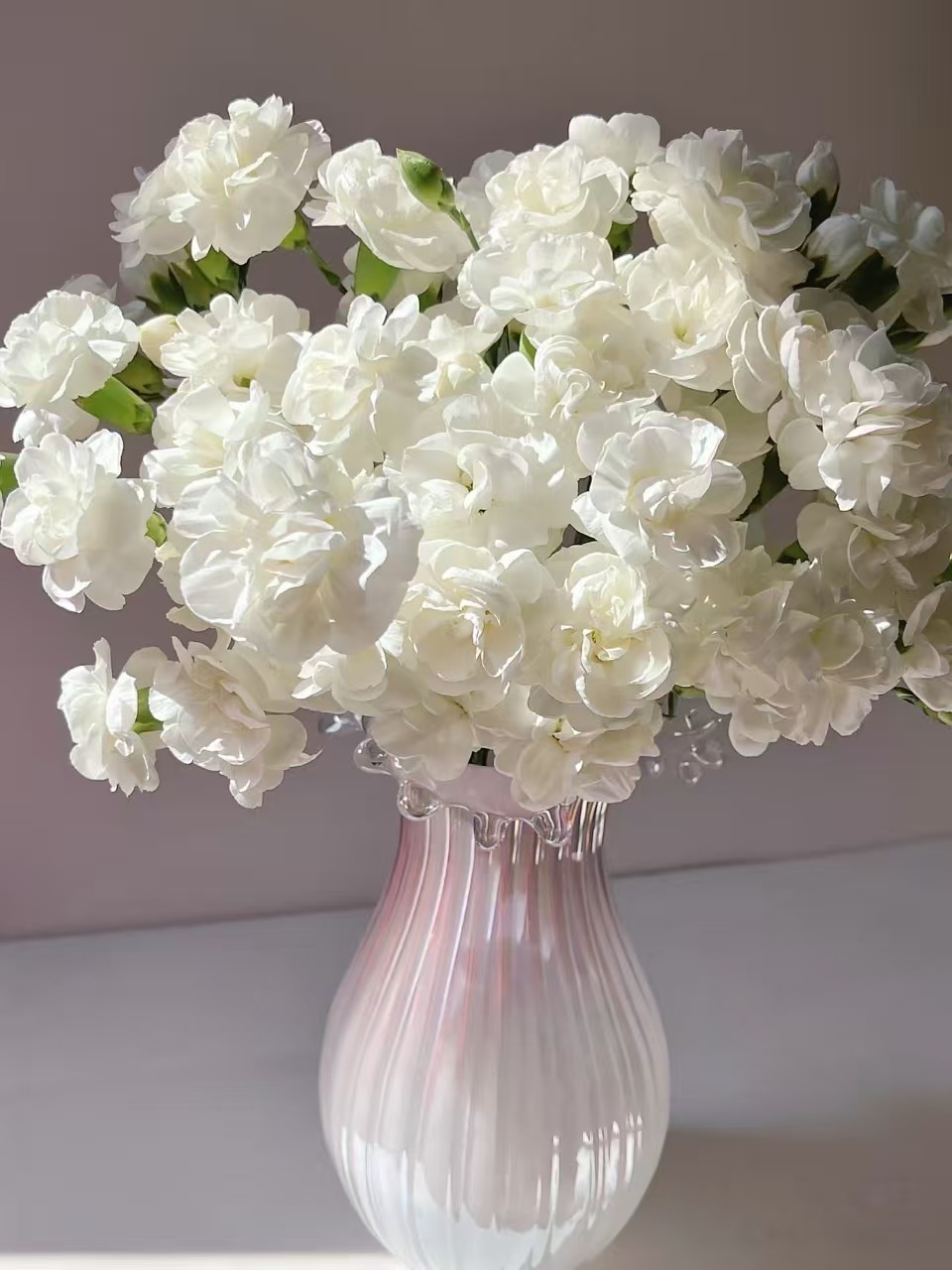 茉莉多头康乃馨20枝