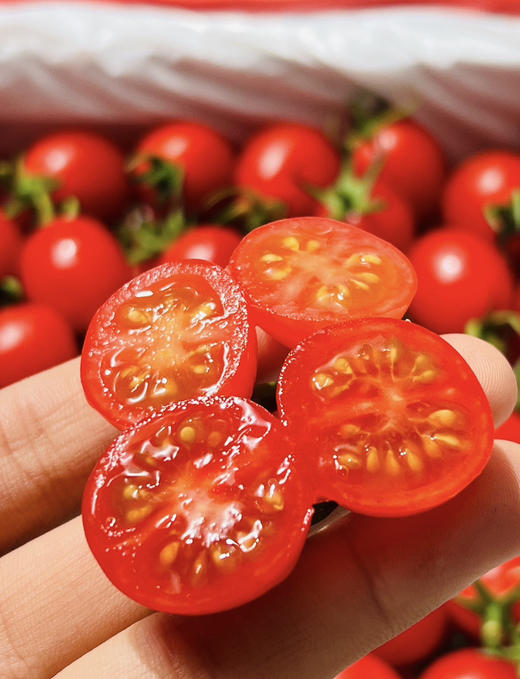 爆汁糖心小番茄 商品图4