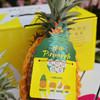 海南甜炸天大金砖凤梨顺丰快递包邮下单从三亚发货 商品缩略图5