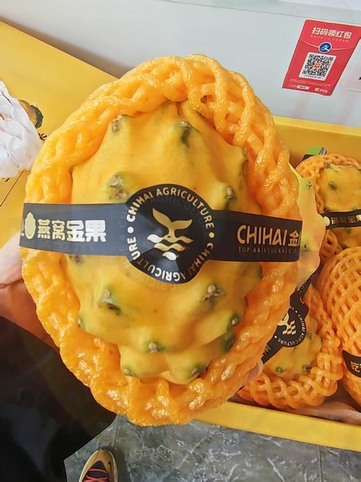 金麒麟燕窝果 商品图1