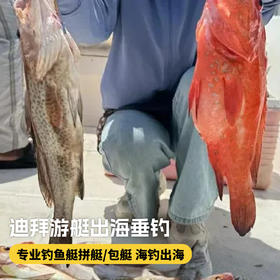 【迪拜•当地玩乐】迪拜游艇出海垂钓 近海远海拉斯海马 专业钓鱼艇拼艇包艇海钓出海