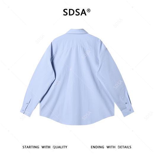 5033SDSA男装2026新款高贵轻奢韩系简约纯色竖纹领带长袖衬衫百搭宽松 商品图4