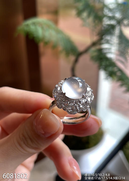 6081802，蛋面戒指。具体价格微信咨询 商品图3