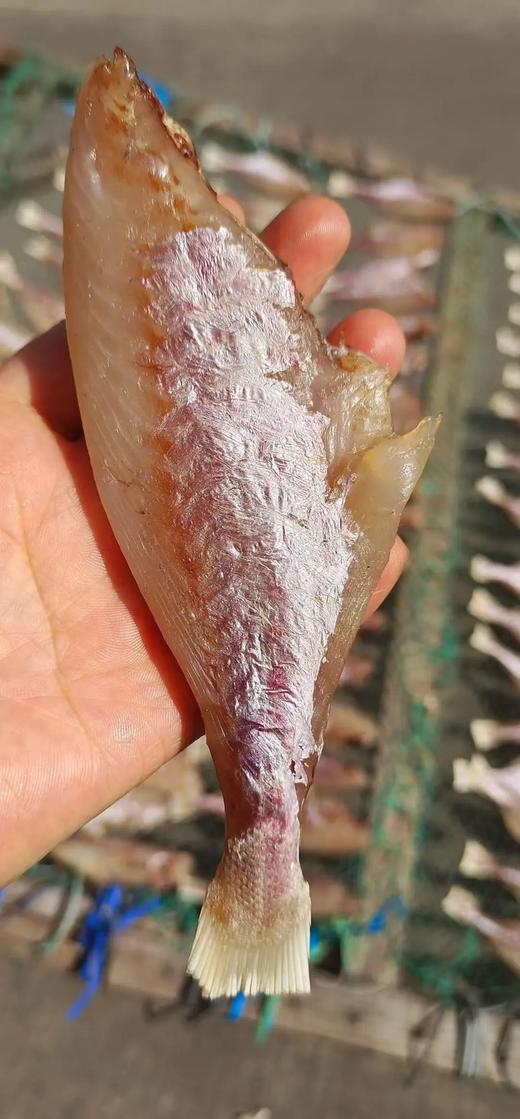 L‘’【断货王】，招牌必吃 无小刺！免处理！直接香煎大眼鱼干 商品图3