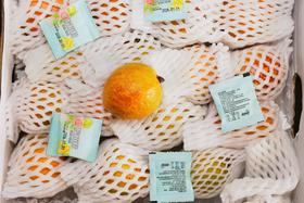 树熟红芭乐（1个)