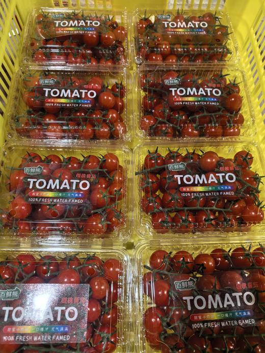 串番茄（国外品种）三个颜色各一斤 商品图1