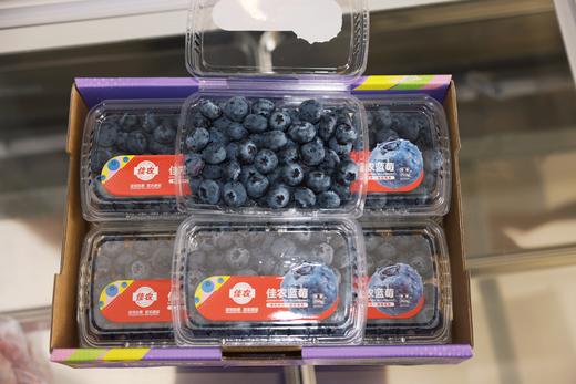 佳农大盒蓝莓 商品图0