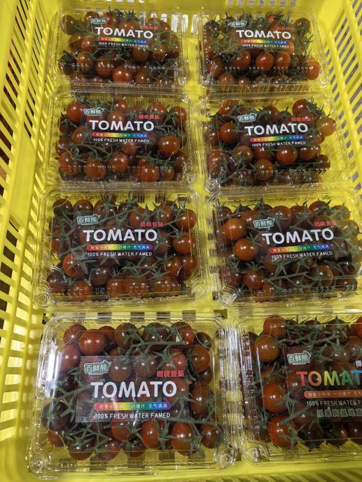 串番茄（国外品种）三个颜色各一斤 商品图2