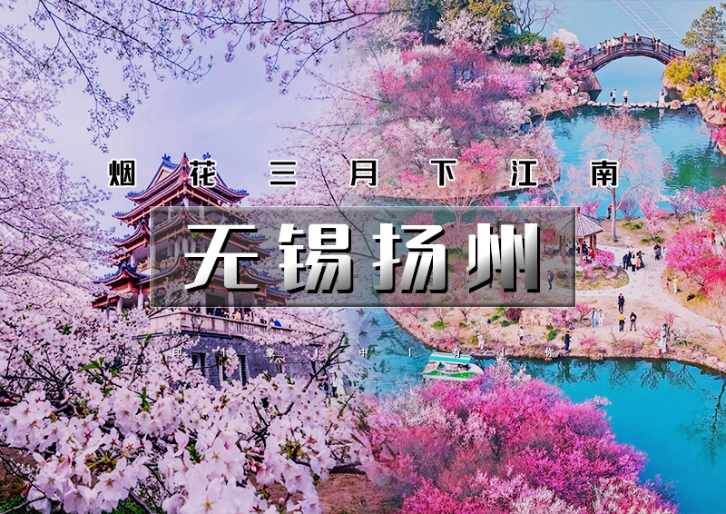 火！清明3天｜无锡扬州｜烟花三月下江南の兴化油菜花海-李中水上森林-瘦西湖-何园-鼋头渚樱花-个园-无锡古运河
