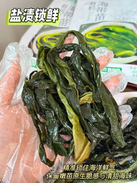 🔥特惠囤货必入🌊北纬37°黄金海域直供【厨姥太有机海带苗】脆嫩飙鲜🌿0脂狂炫不胖❗️家常美味😋 ✅北纬37°威海黄金海域，盐渍锁鲜，一口尝尽大海原生鲜 商品图2