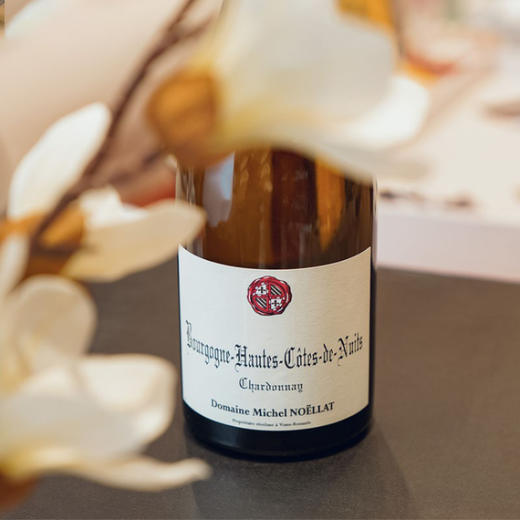 Jayer嫡系传人！30+年霞多丽！米歇尔诺拉上夜丘白葡萄酒 Michel Noellat Bourgogne Hautes Cotes de Nuits Chardonnay 2023 商品图1