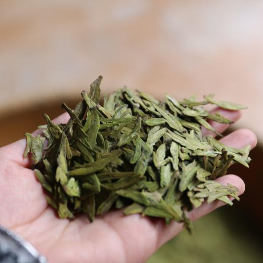 2026翁炳铨明前茶狮峰西湖龙井茶「可扫码验真伪，正宗西湖龙井，认准官方茶标」（任选购两个规格赠茶具一套） 商品图5