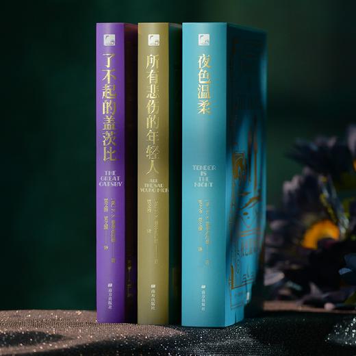 菲茨·杰拉德 经典作品集【官方正版】名家译本|典藏礼盒 商品图0