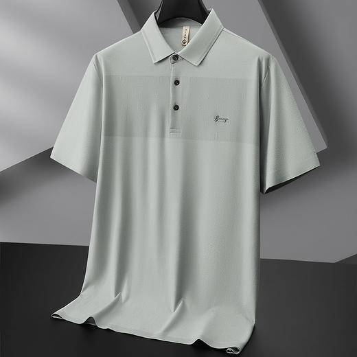 【DG】大依优型大码男装夏季商务翻领POLO衫短袖休闲凉感棉质短袖T恤300 商品图2
