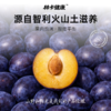 林卡健康无添加苹果干 西梅干 火龙果干 商品缩略图9