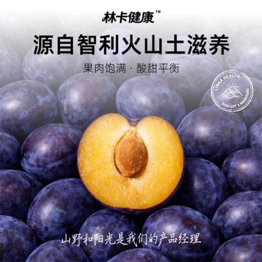 林卡健康无添加苹果干 西梅干 火龙果干 商品图9