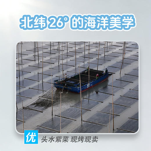 幸福原味-鲜烤紫菜 即食零食紫菜海苔拌饭伴侣 商品图3