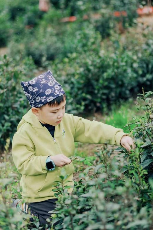 4.4/4.5清明小长假【眉山丹棱幸福古村】2天1夜高端精品营·吃住玩全包 商品图3