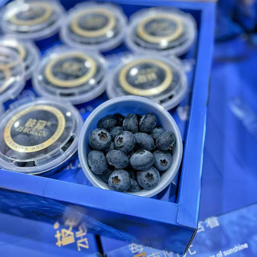 【蓝莓杯18➕】脆甜多汁带花香，口感超赞的，风味很足，不单单只是甜，蓝莓香超级浓郁 商品图10