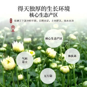 陈一凡胎菊花茶 头茬新鲜无熏无添加泡水喝花草茶罐装60g /水饮冲调 /代用茶/花草茶/养生茶 /花草/草木茶 商品图2