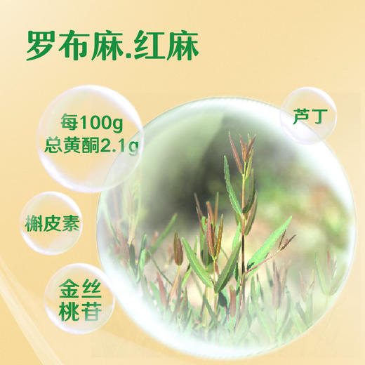 戈宝红麻茶 罗布麻 便携茶包礼盒4.5g*32袋 商品图3