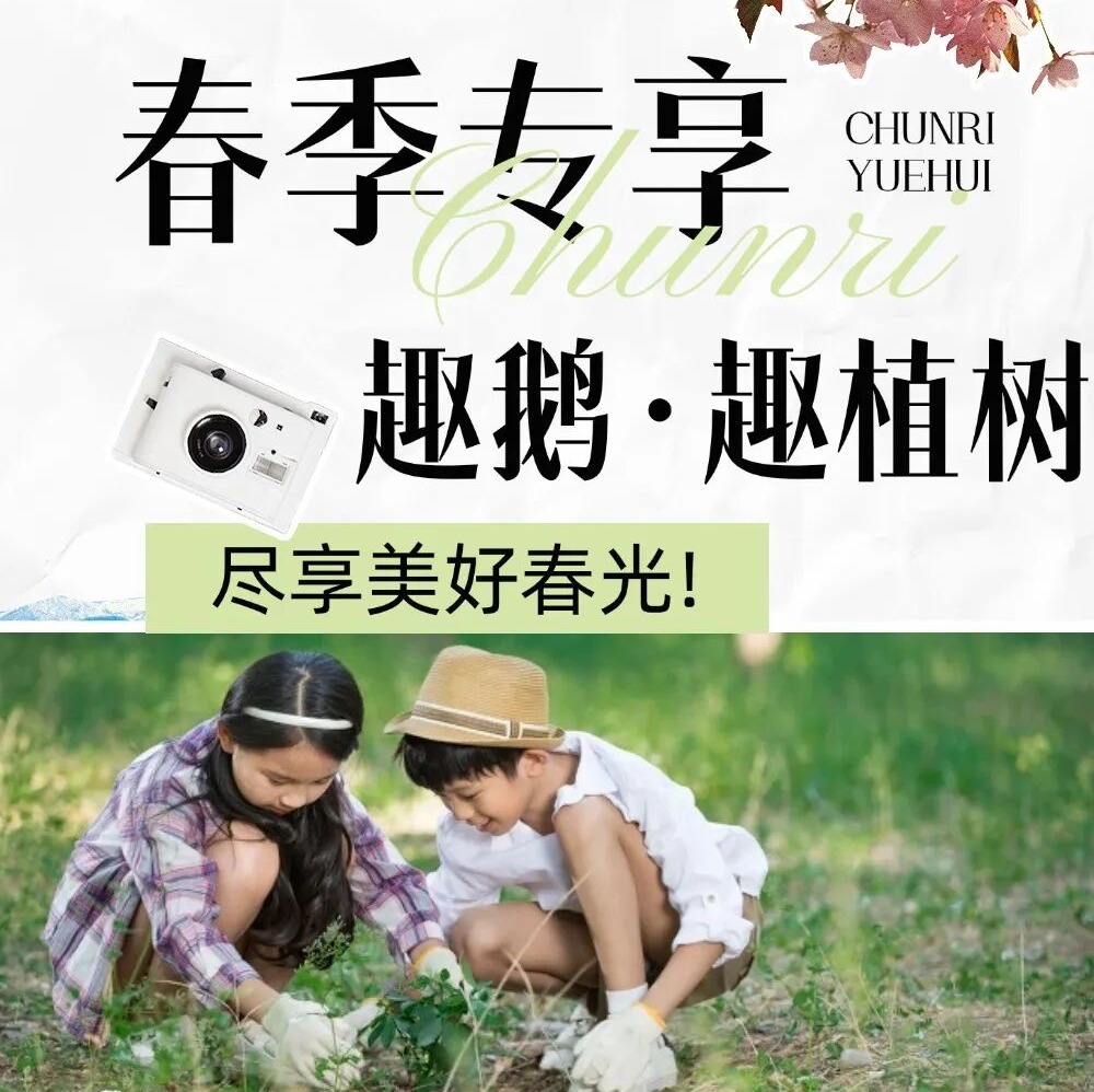 【2026.03-04】春季野趣丨套大鹅、植树、竹筒饭、青团DIY……尽享美好春光