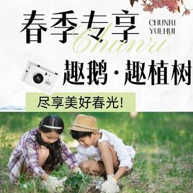 【2026.03-04】春季野趣丨套大鹅、植树、竹筒饭、青团DIY……尽享美好春光