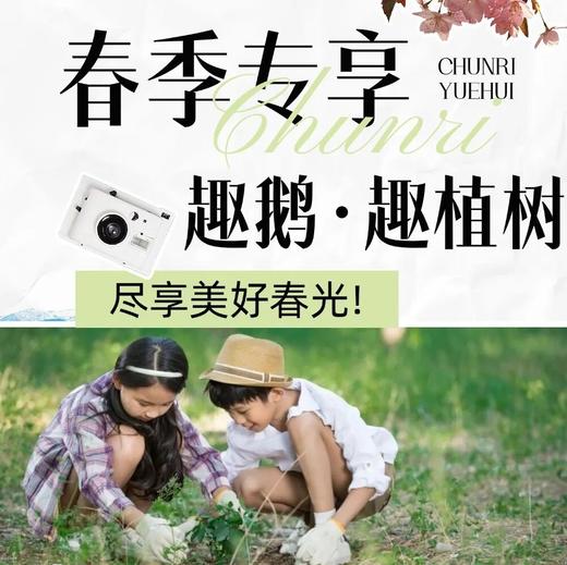 【2026.03-04】春季野趣丨套大鹅、植树、竹筒饭、青团DIY……尽享美好春光 商品图0