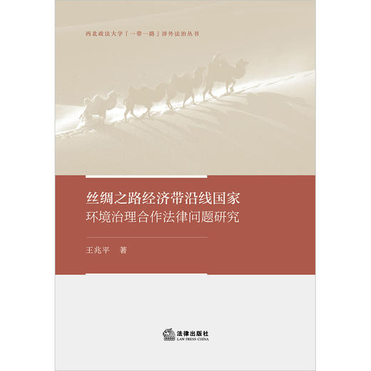 丝绸之路经济带沿线国家环境治理合作法律问题研究 商品图1