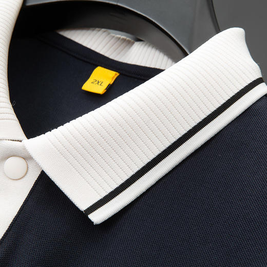 【DG】大依优型大码男装夏季翻领POLO衫短袖T恤棉质商务休闲透气上衣 商品图3