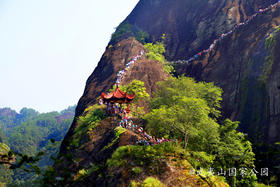 【清明】<福建武夷山4天动车团>