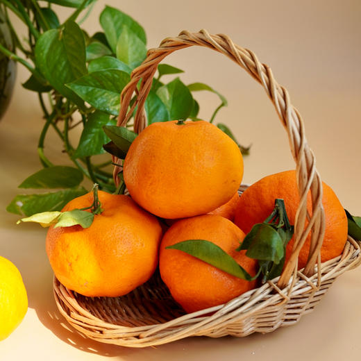 阿斯蜜明日见柑橘 净重4.5-8斤 精选中大果彩箱装 商品图6