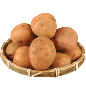 【宜昌助农馆】新鲜现挖红皮黄心新鲜土豆  当季生鲜土豆单果50-200g