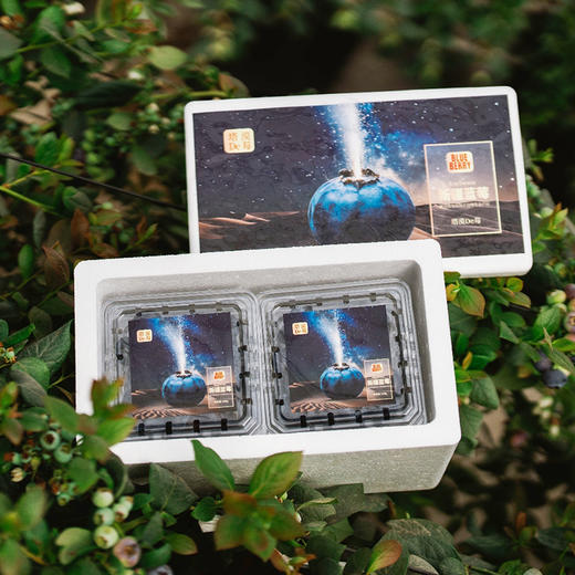 塔漠DE莓 . 新疆蓝莓 来自新疆塔克拉玛干沙漠 当季鲜果 商品图6